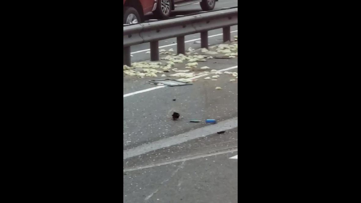 Philippines: Truck spills hundreds of chicks onto highway, causes traffic