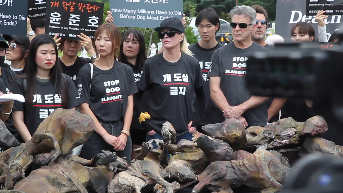 Corea del Sur: La actriz Kim Basinger lidera las protestas contra el día de la carne de perro