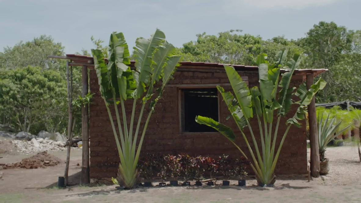 México: Construyen casas con ladrillos del sargazo que plaga las costas del Caribe