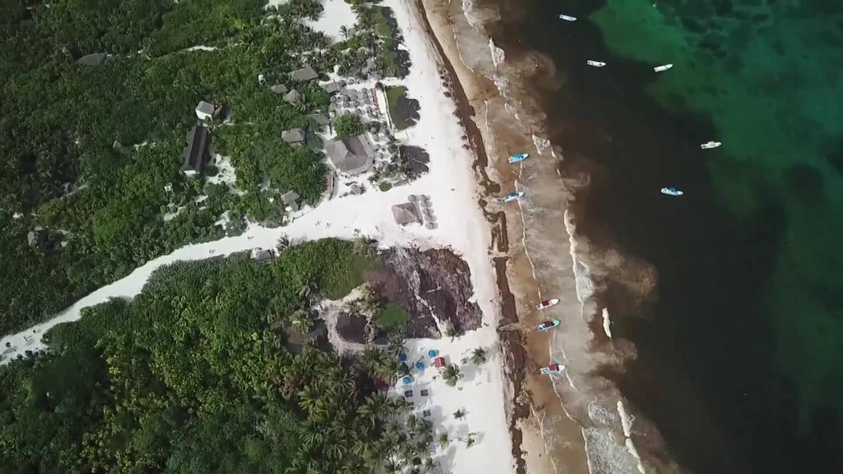 México: Imágenes aéreas muestran toneladas de sargazo cubriendo las playas del Yucatán