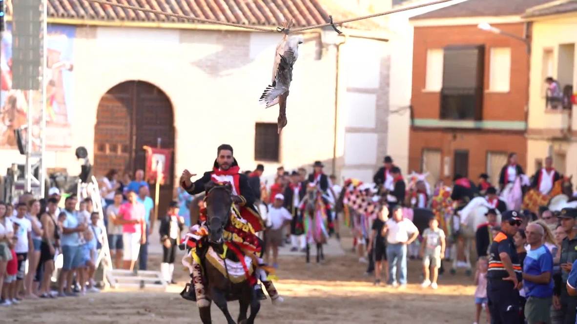 España: Decenas de jinetes participan en fiesta típica que consiste en arrancarle la cabeza a un ganso