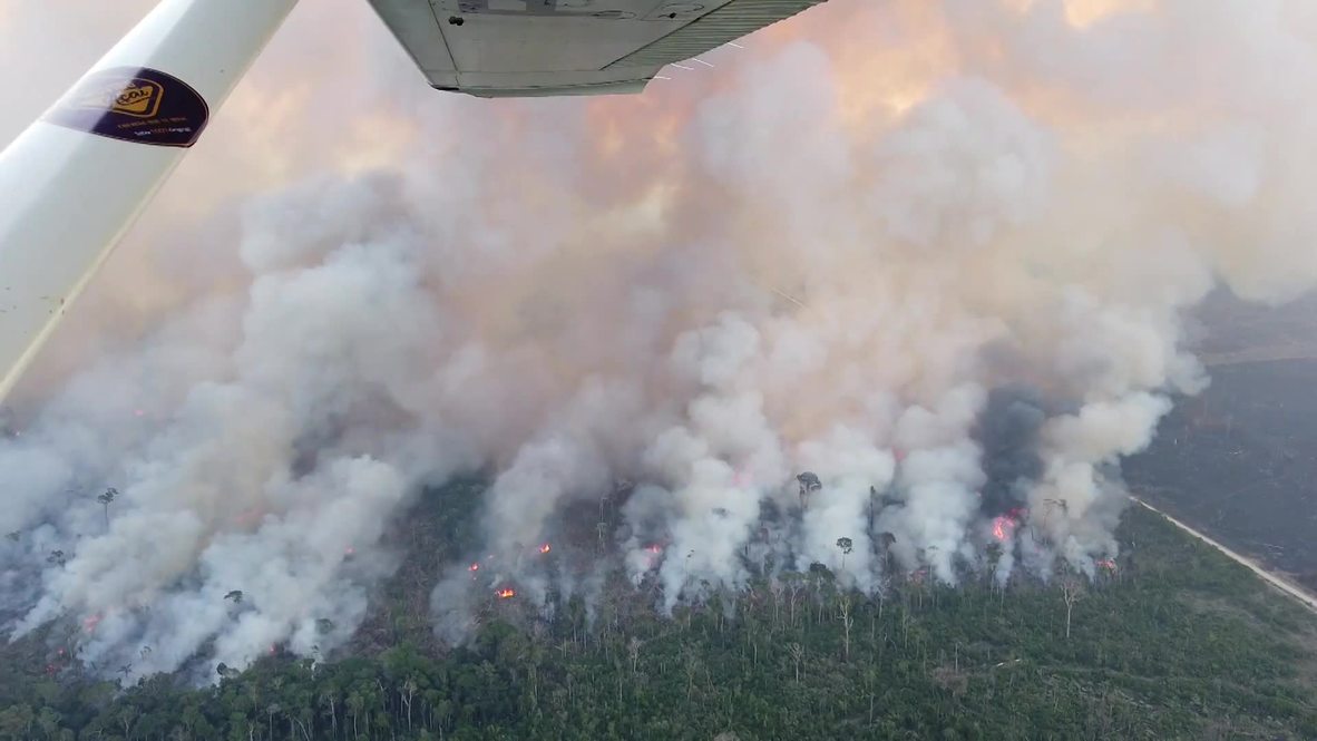 Brazil: Aerial footage reveals extent of raging Amazon rainforest fires