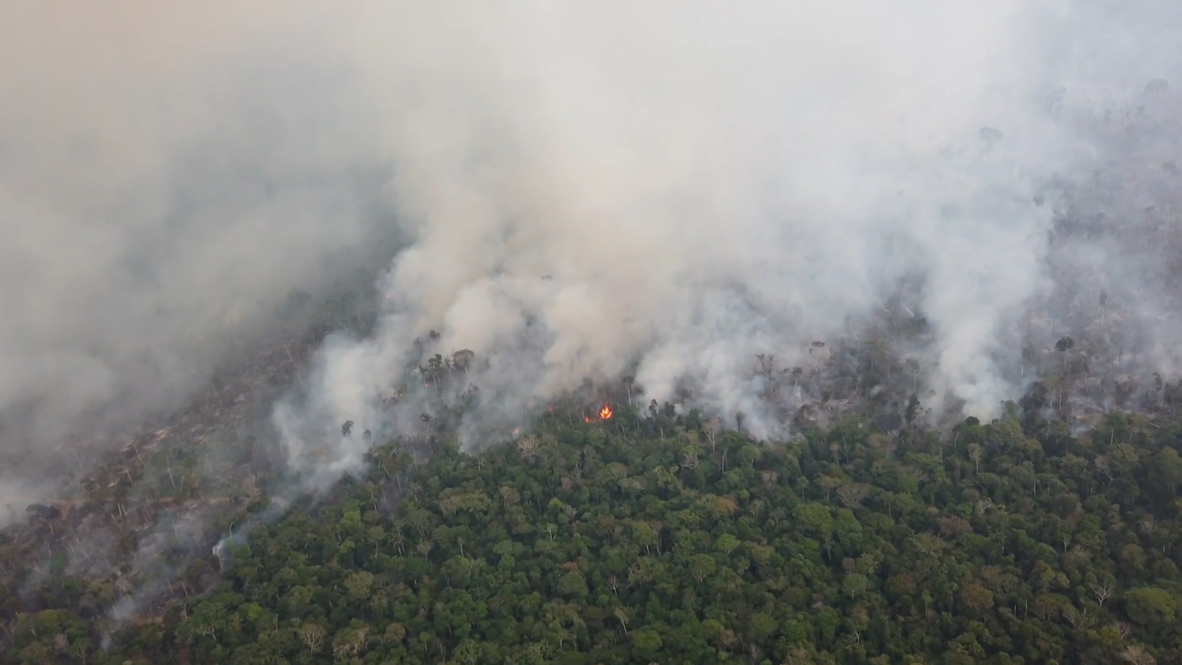 Brazil: Smoke hampers firefighting efforts in Amazon rainforest