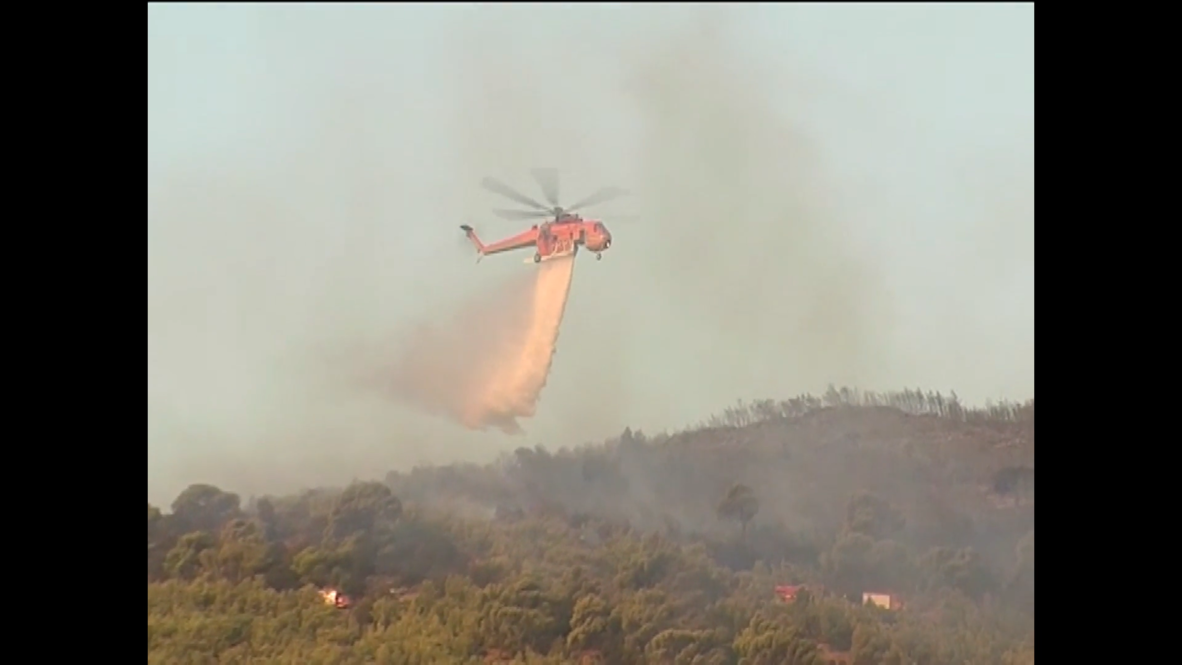 Grecia: Helicopteros combaten incendio forestal cerca de localidad costera al este de Atenas