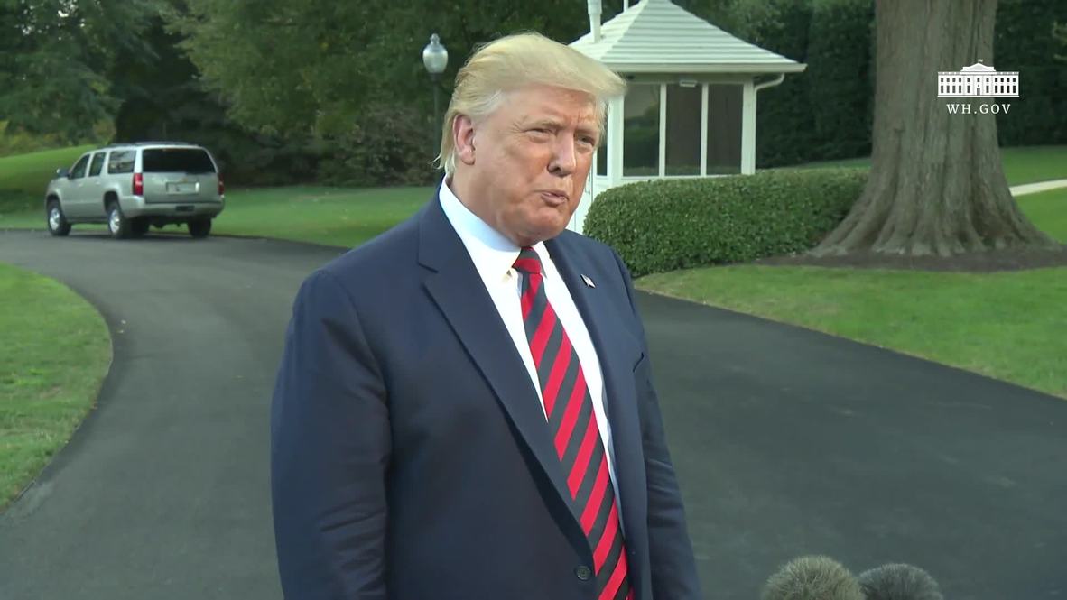 USA: Biden, Warren or Sanders most likely opponents in 2020, Trump says