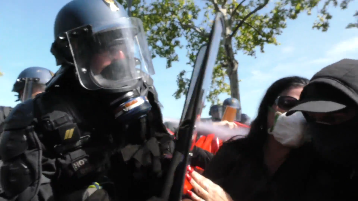 France: Police deploy tear gas during 'Yellow Vests' clashes in Lyon