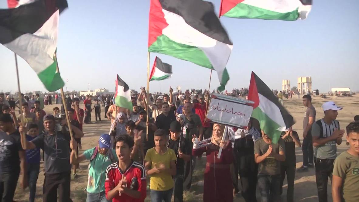 State of Palestine: Dozens injured at weekly Gaza border rally