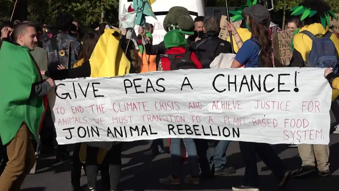 Reino Unido: "Mr. Brócoli" monta una fiesta vegetariana en Londres para poner fin a la "crisis climática"