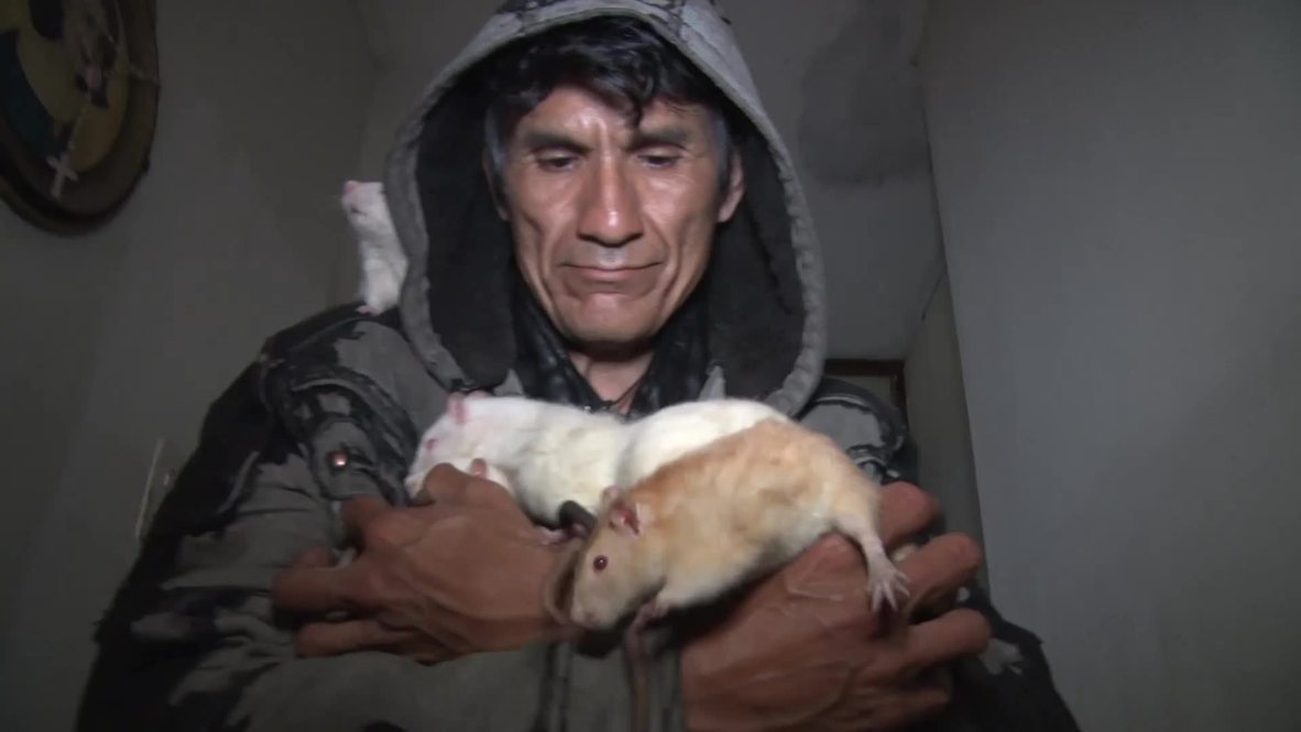 El 'hombre rata' peruano comparte su hogar y su comida con decenas de roedores