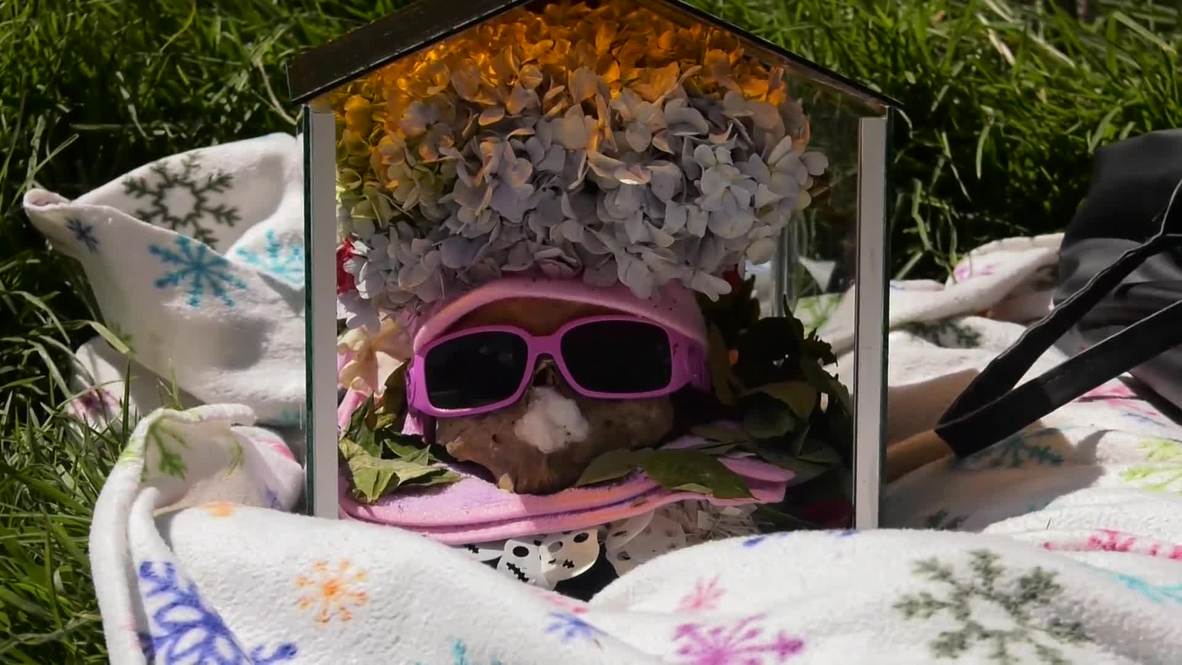 Bolivia: Cráneos decorados con flores y gafas de sol para celebrar el Día de las Ñatitas