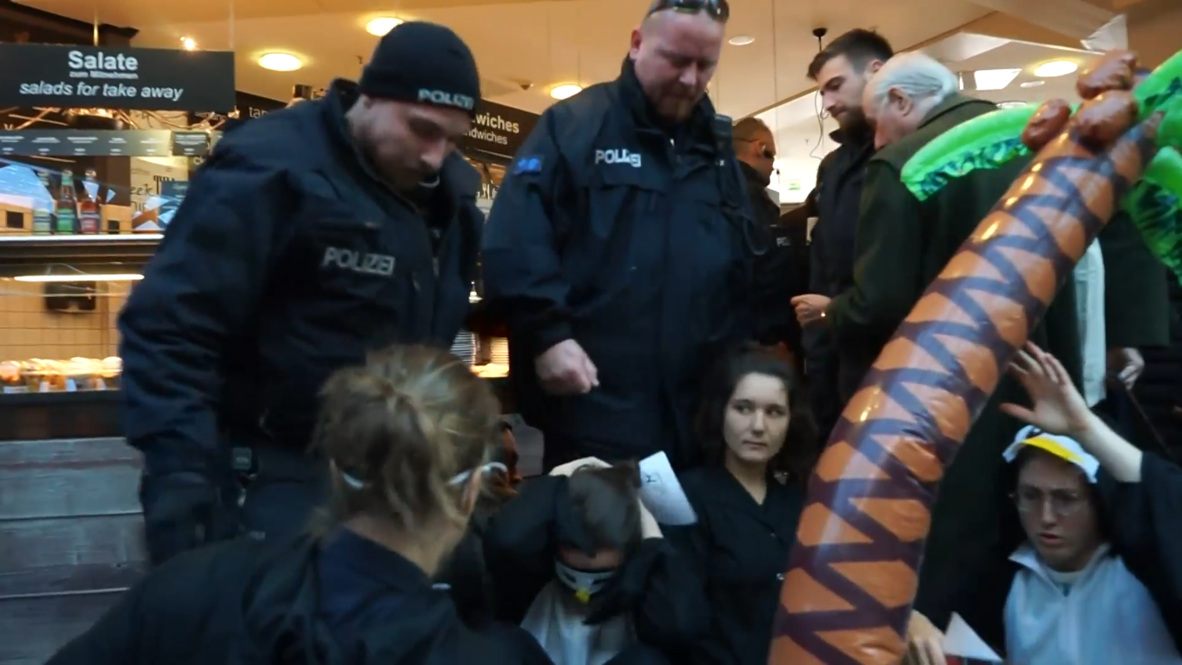 Germany: 'Stay grounded' - Climate activists clad in penguin suits hold airport sit-in