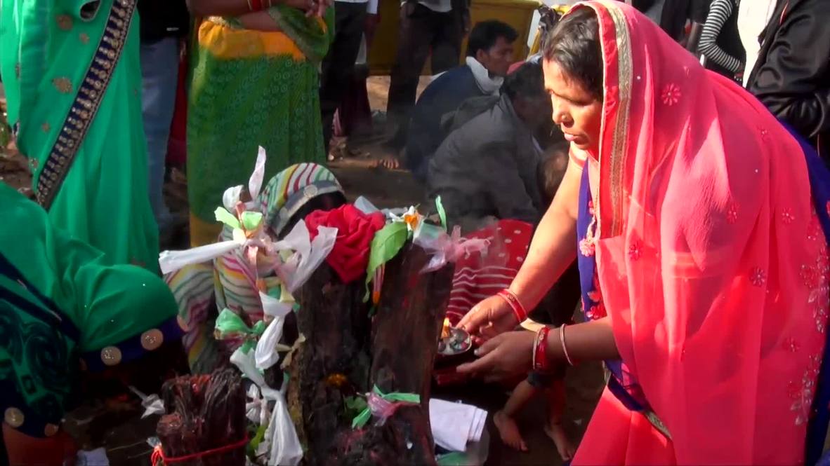Indian miracle-seekers flock to Mahua 'healing tree' in hope of cure