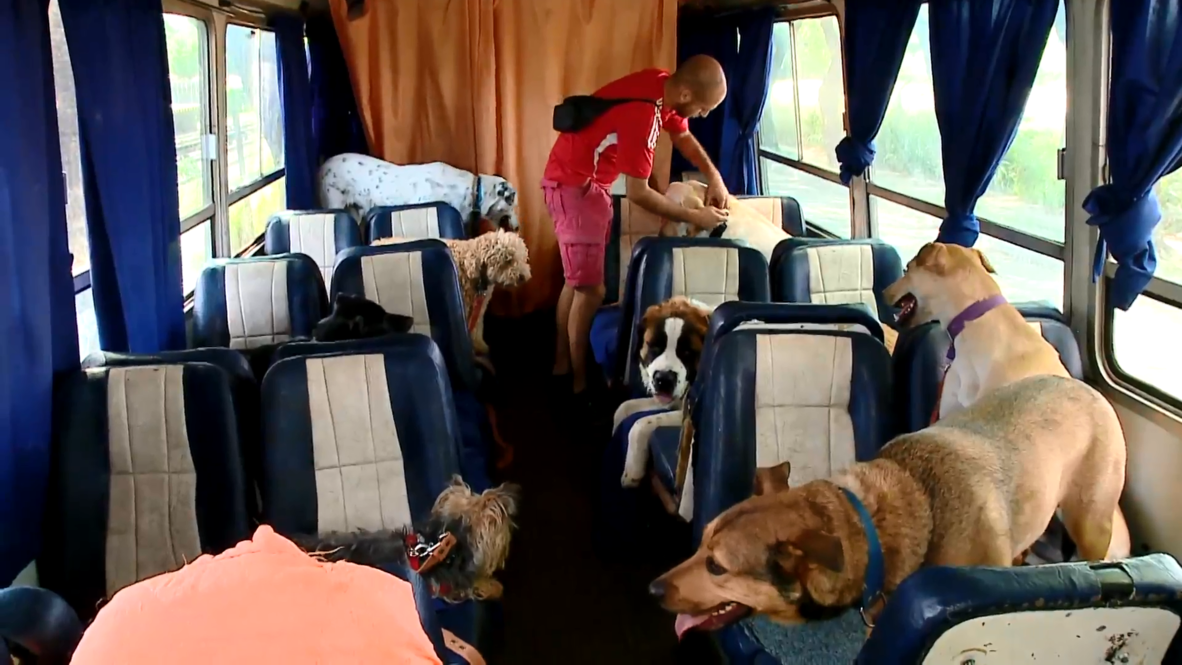 ¡Todos a bordo de 'La Bestia'! El 'canimóvil' de Buenos Aires