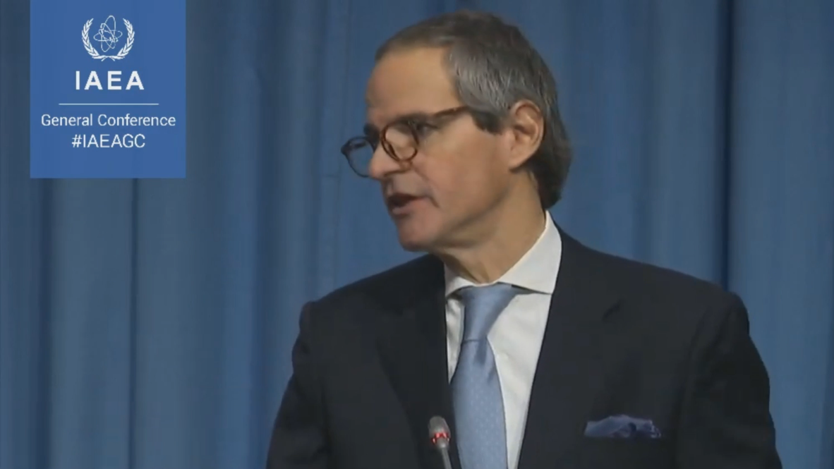 Austria: Rafael Grossi appointed as Director General of UN nuclear agency