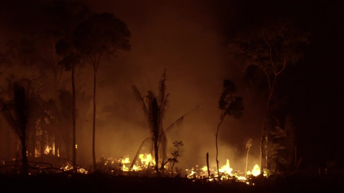 Fighting Fire: The Indigenous Struggle For The Amazon *PARTNER CONTENT*