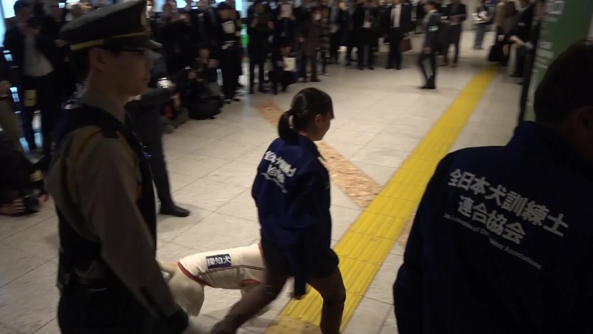 Japón: Perros policía patrullan la estación de Tokio en un simulacro previo a los Juegos Olímpicos