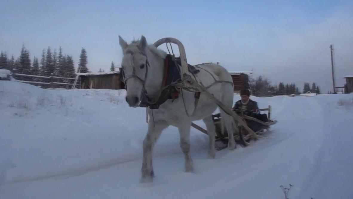 Postman on White Horse! Overcoming Siberia's harsh winter