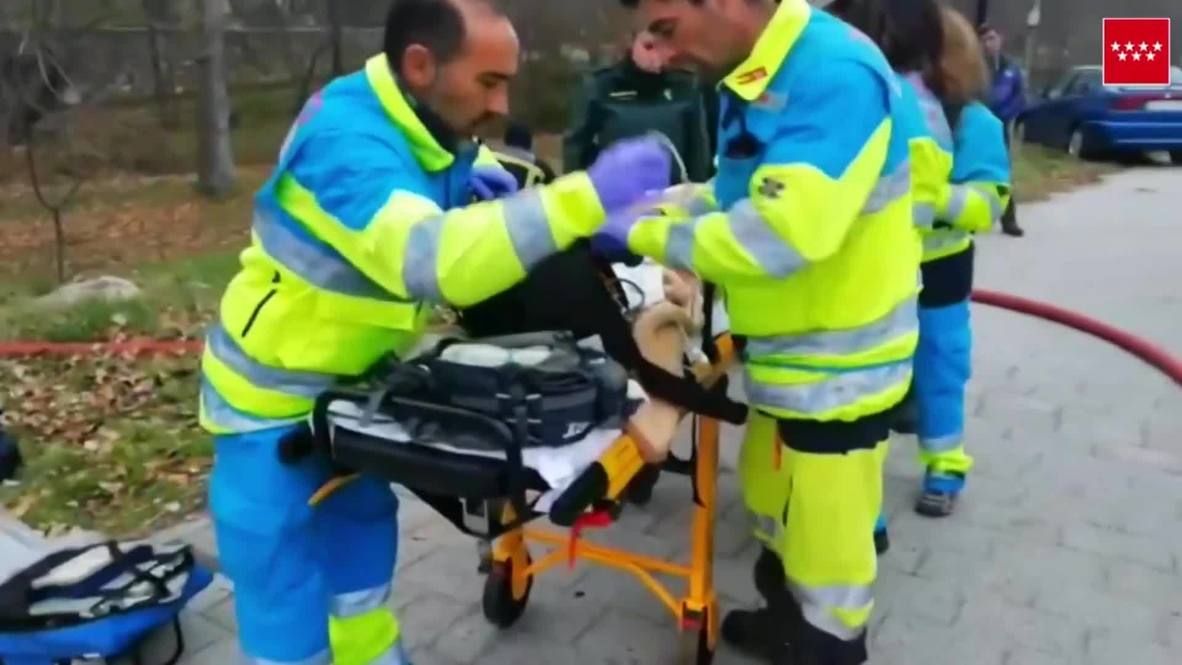 España: Bomberos rescatan con vida a un perro de un incendio suministrándole oxígeno