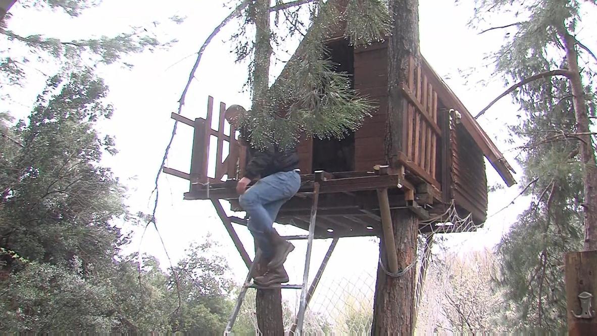 Turkey: Mountaineers self-isolate in treehouse to steer clear of coronavirus