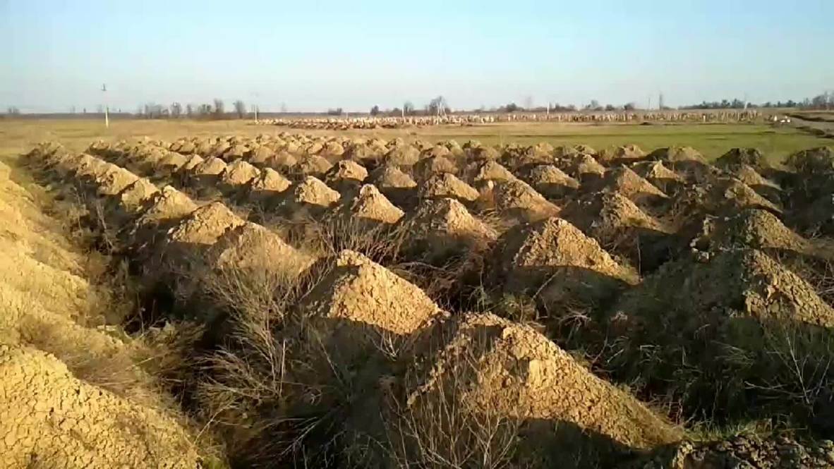 Ukraine: Authorities in Dnipro prepare hundreds of graves for possible COVID-19 victims