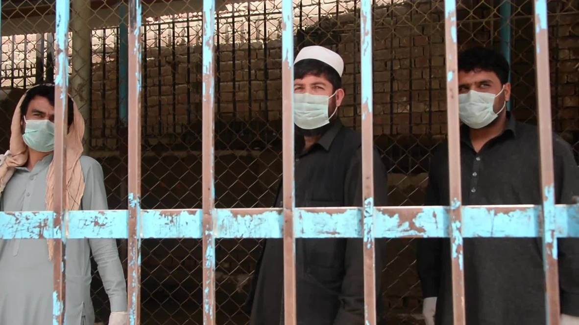 Afghanistan: Border with Pakistan temporarily reopens for Afghans stranded amid coronavirus closure