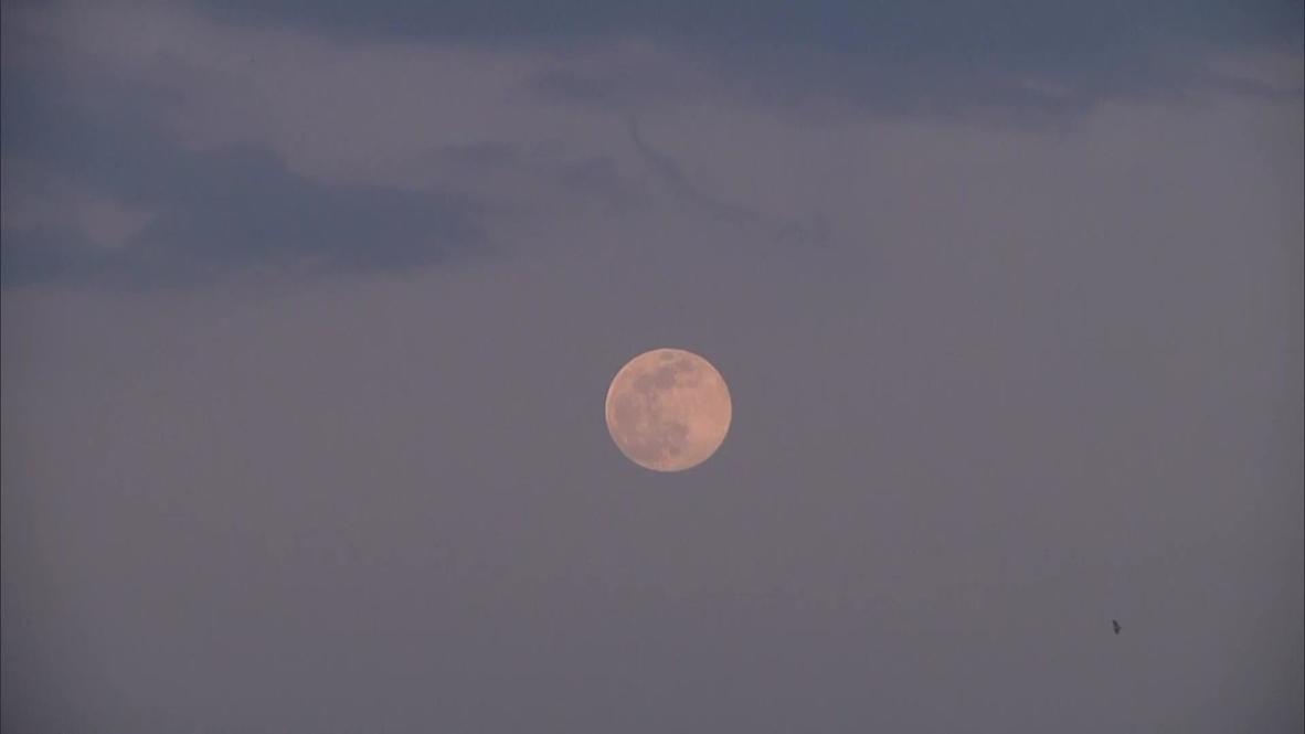 Italy: Full 'Pink Moon' shines bright over Rome