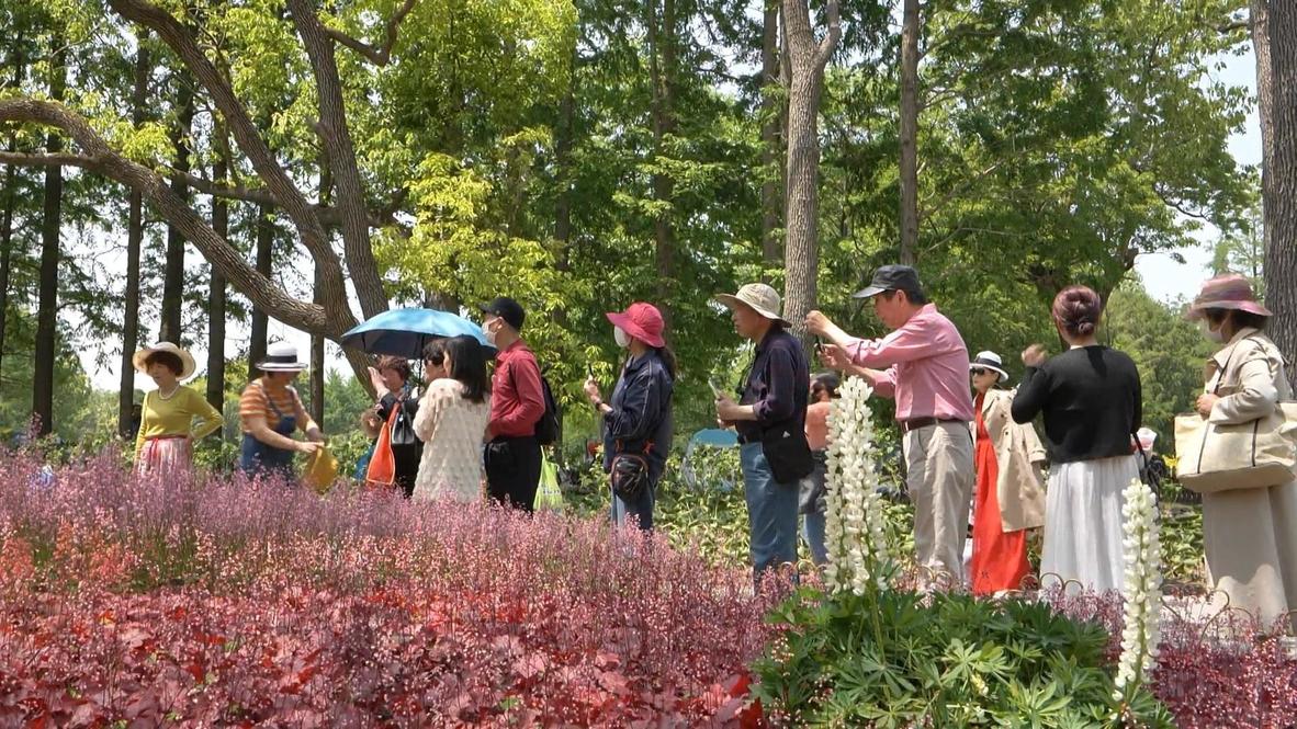 China: Visitors flock to Shanghai International Flower Show as COVID-19 restrictions eased