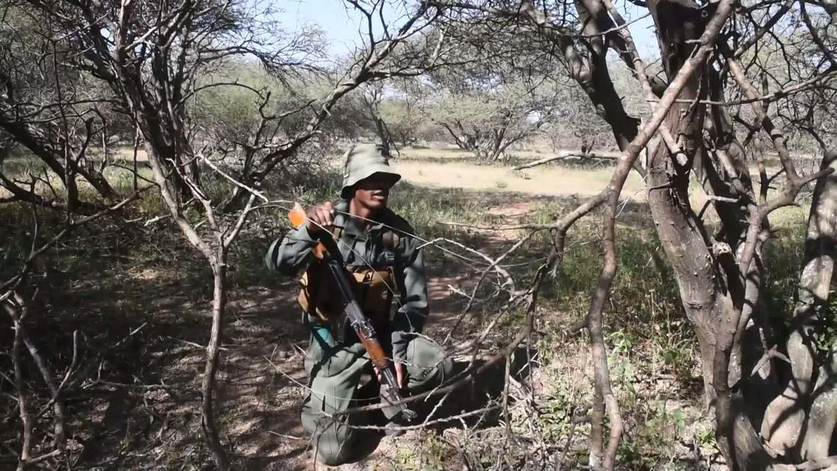 Sudáfrica: La vida silvestre lucha contra la caza furtiva y la crisis del covid-19