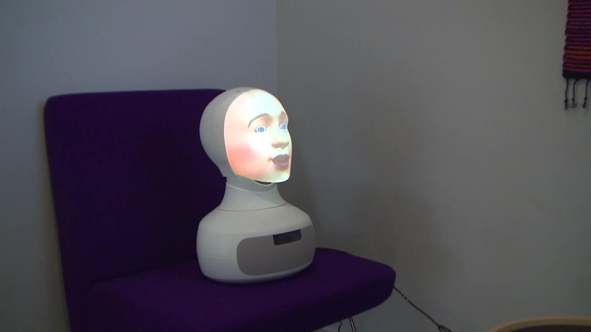 Sweden: Local municipality uses robot to conduct job interviews ...