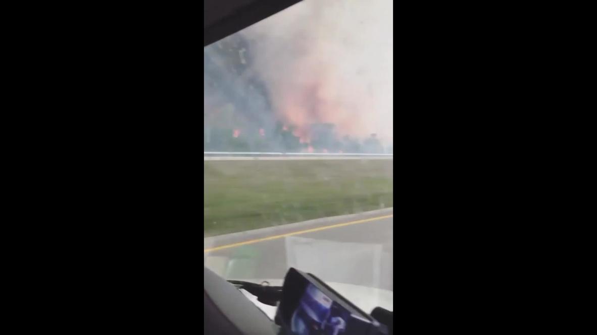 EE.UU.: Más de 500 evacuados luego que incendios forestales alcanzaran autopista interestatal en Florida