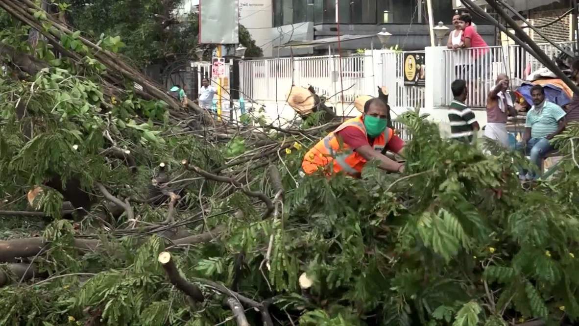 India: Workers clear Kolkata of fallen trees in aftermath of Cyclone Amphan