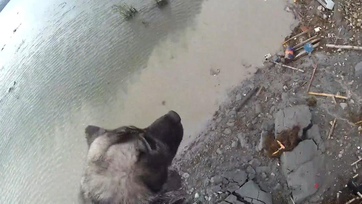 Norway: Dog rescued from disastrous Alta landslide gets helicopter ride