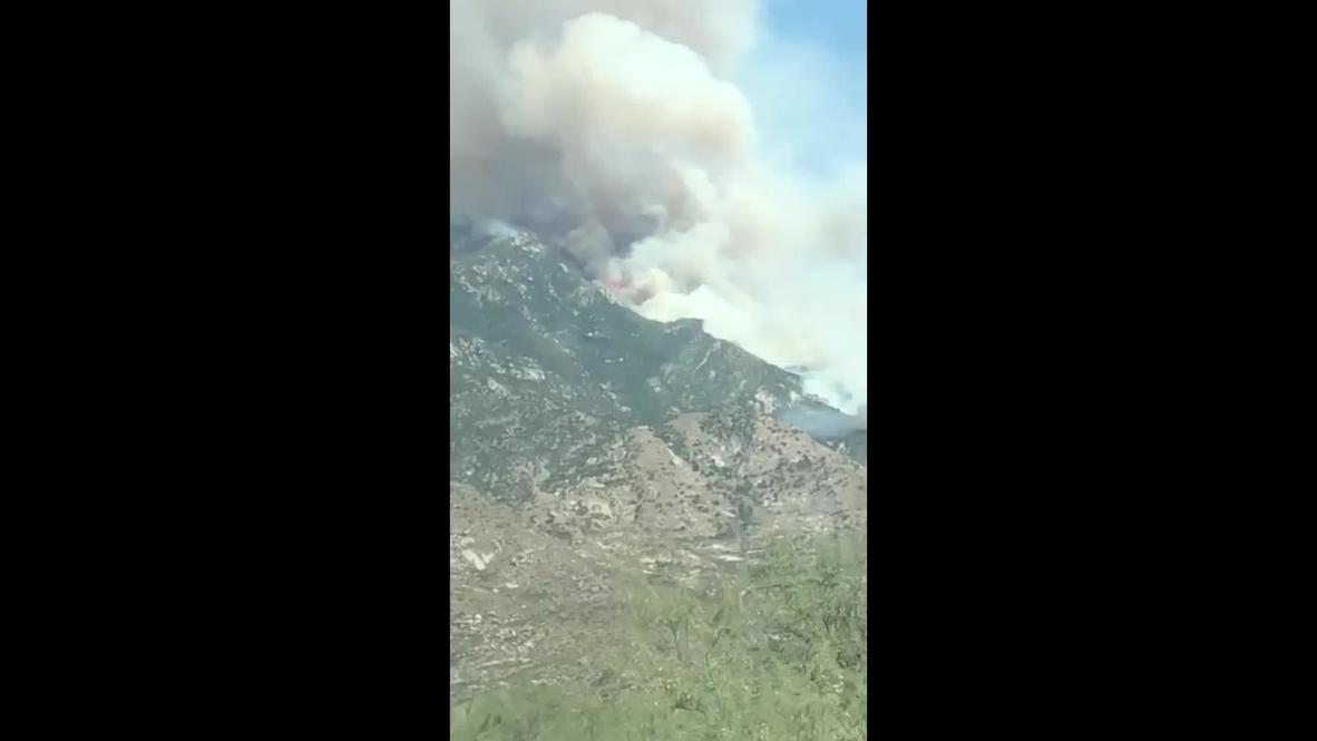USA: Hills near Tucson filled with smoke as wildfire rages on