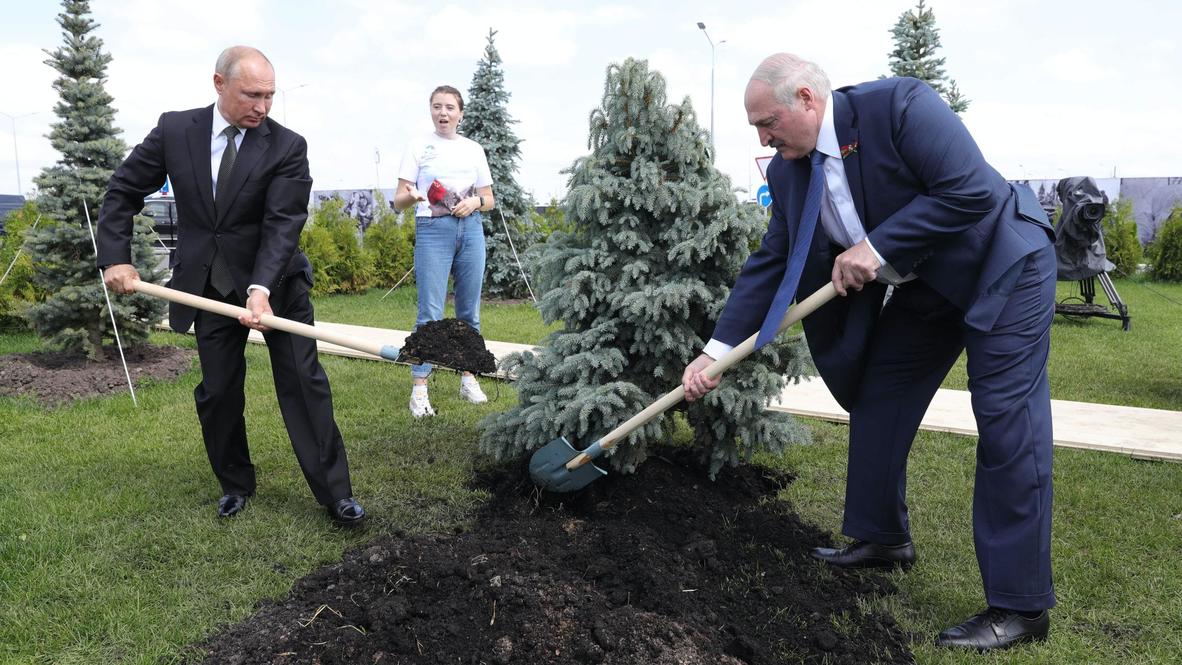 Rusia: Putin y Lukashenko plantaron abetos en la ciudad de Rzhev