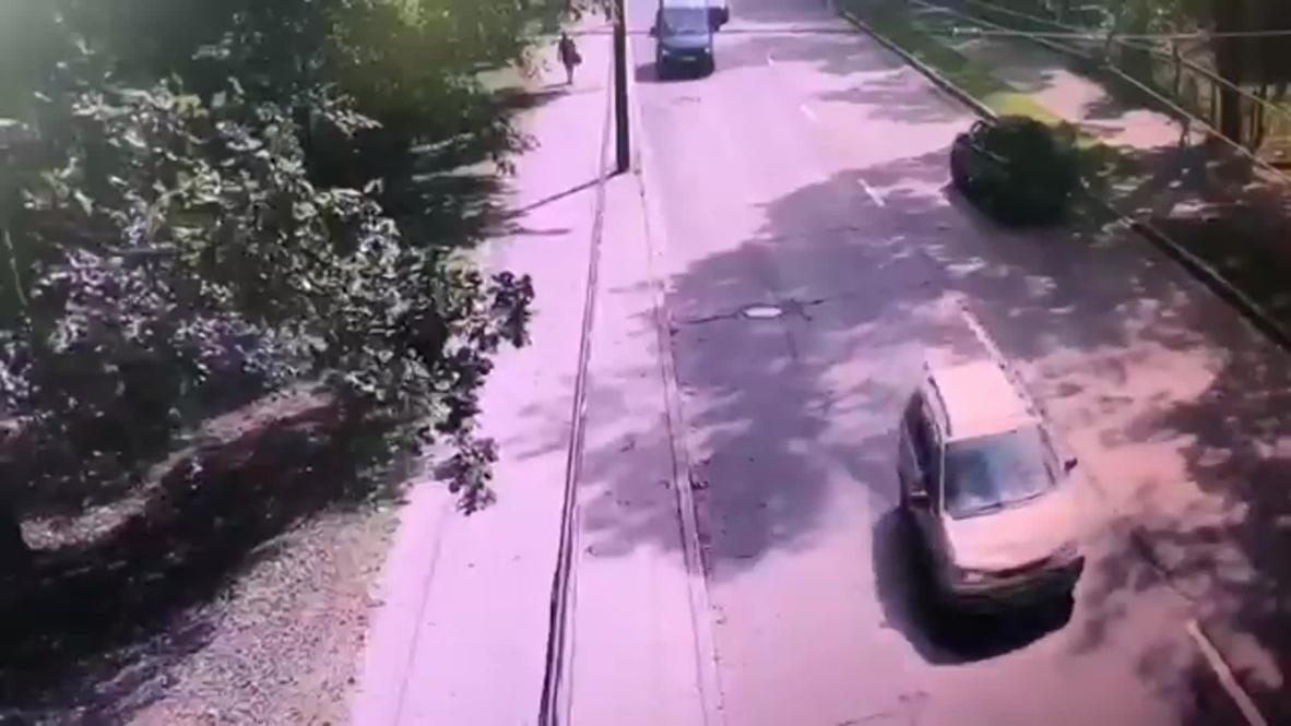 Россия: Четыре человека пострадали при падении дерева на автомобиль в Петербурге