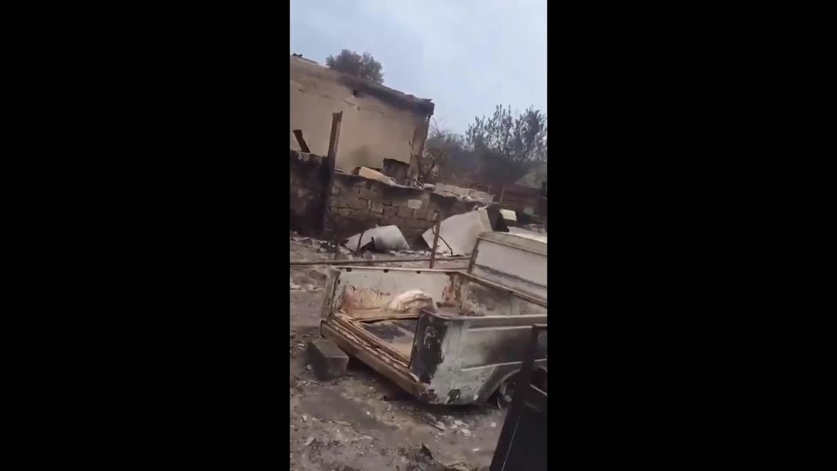 Украина: В Луганской области лесной пожар уничтожил больше ста домов