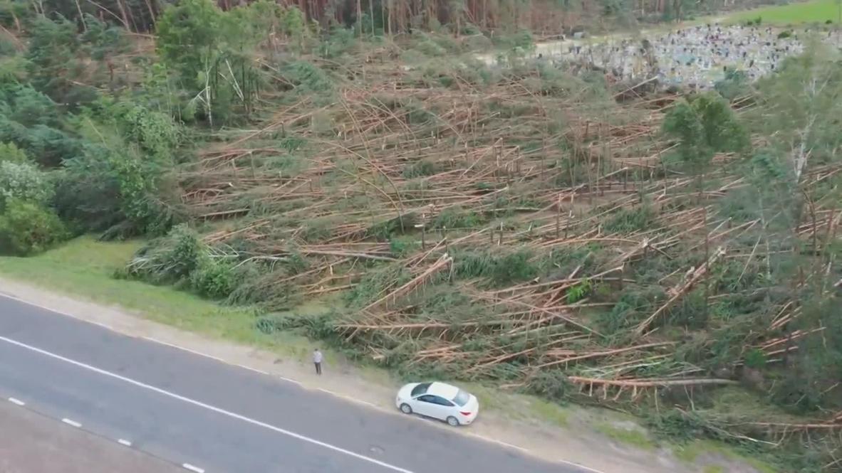 Belarus: Storm fells trees, leaves dozens of villages without electricity