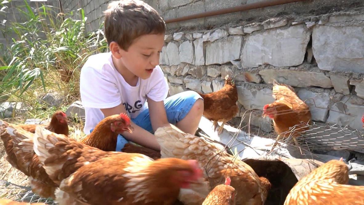 Пернатый бизнес. Школьник из Махачкалы разводит кур и продает яйца