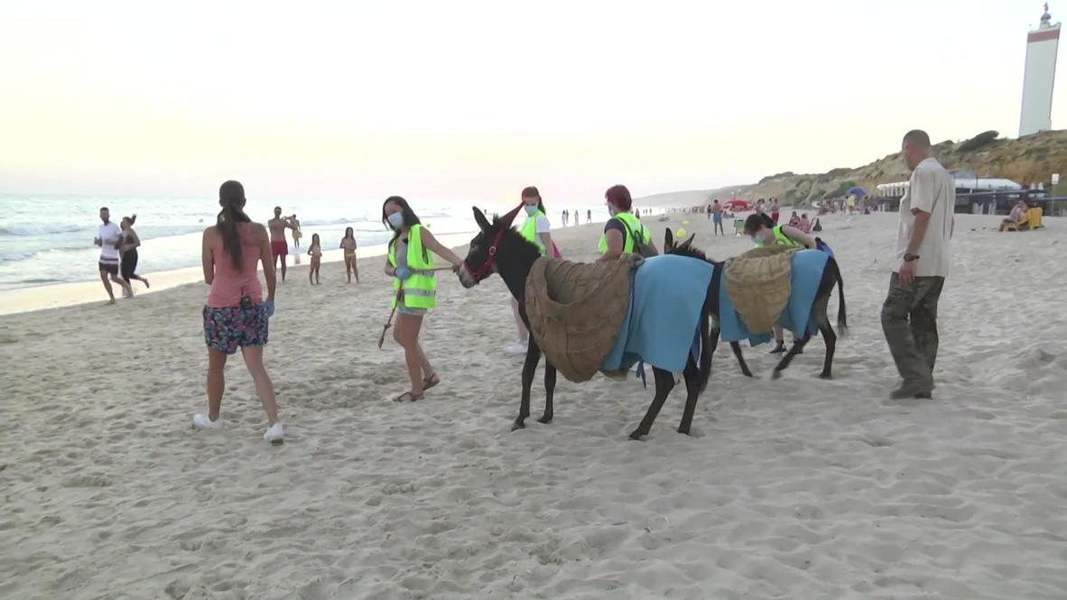Spain: ‘Coast cleaning donkeys' come to help as volunteers rid beaches of plastic waste