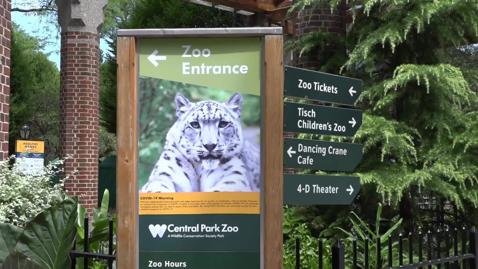 USA All four zoos open after four months of shut down in NYC Video