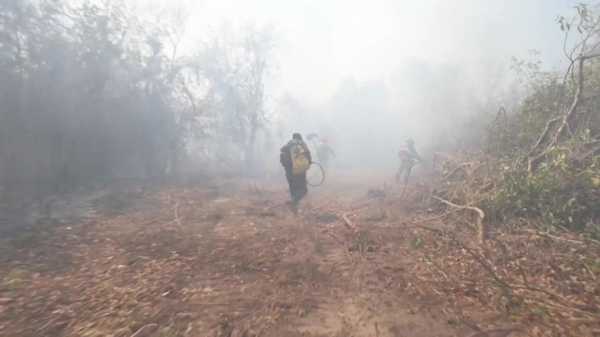 Brazil: Fires continue to scorch Pantanal wetlands in Mato Grosso