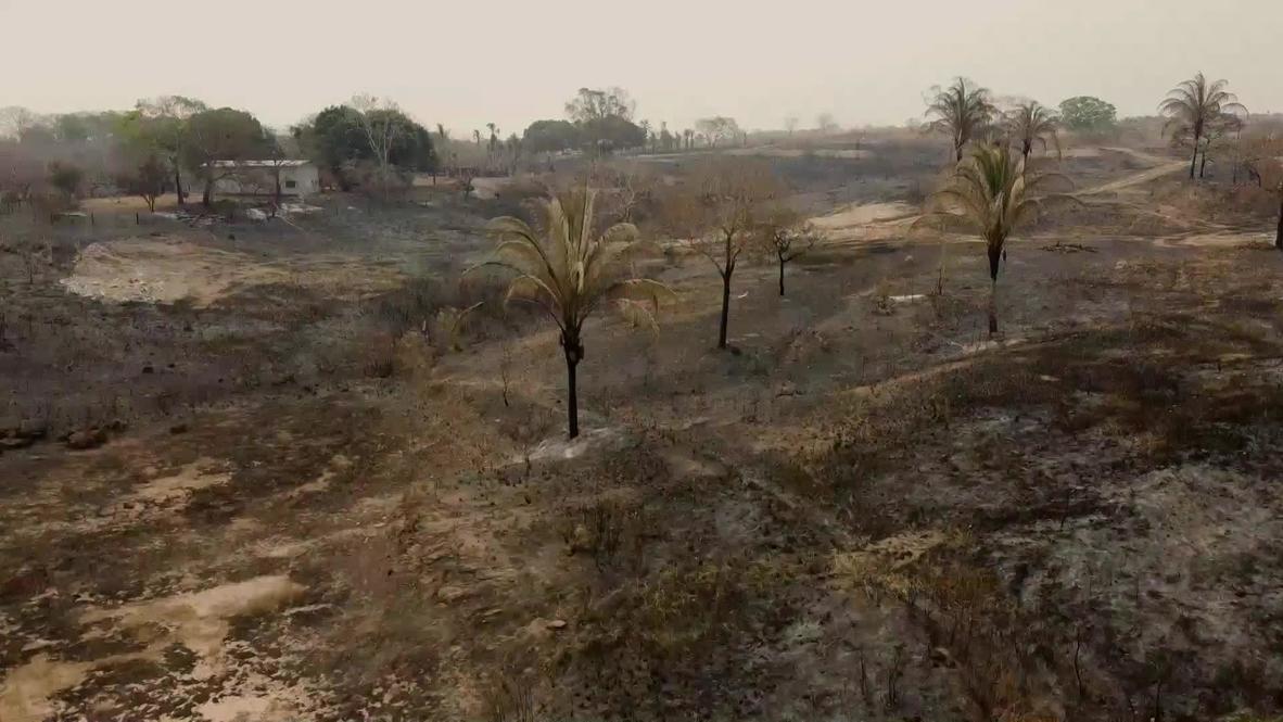 Brazil: Drone footage reveals damage left behind as Mato Grosso wetlands burn