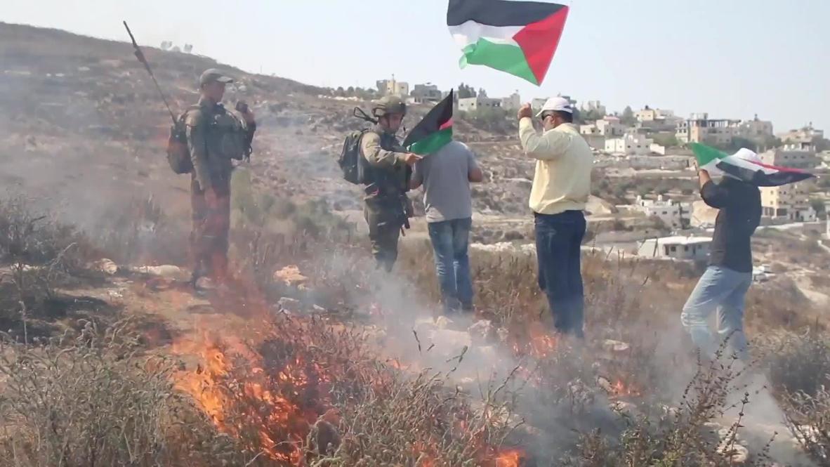 دولة فلسطين: اندلاع اشتباكات مع محاولة متظاهرين فلسطينيين زراعة أشجار الزيتون بالقرب من نابلس