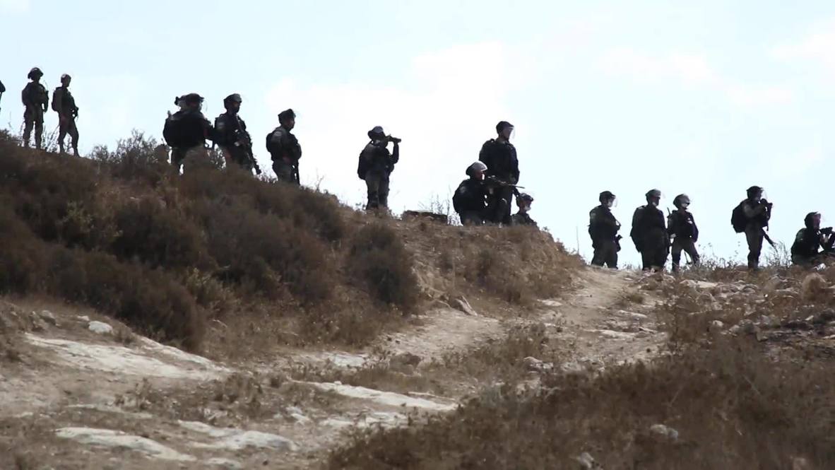 State of Palestine: Clashes erupt as activists organise event in lands threatened with seizure