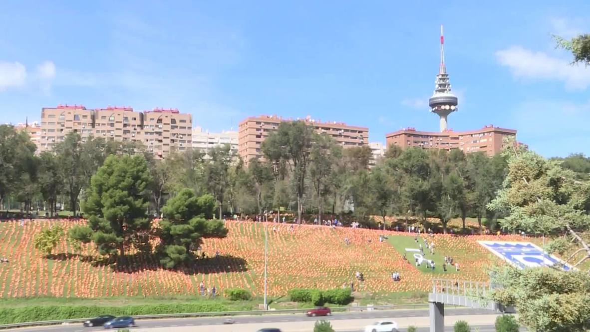 España: ANVAC coloca miles de banderas de España como homenaje a las víctimas del covid-19 en Madrid