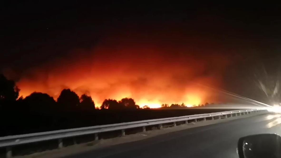 Россия: Пожары в Воронежской области частично локализованы
