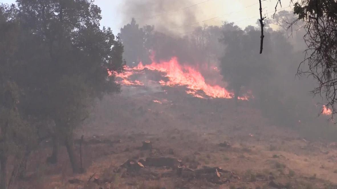 USA: Firefighters battle flames in Napa Valley's St. Helena