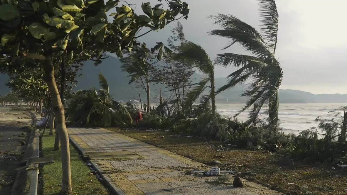 Vietnam: Fallen trees block roads in Da Nang as clean-up underway in wake of Typhoon Molave