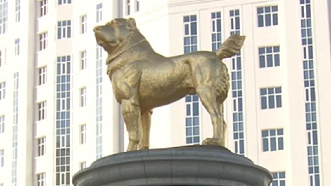 Turkmenistan Giant golden statue of Alabai dog unveiled in Ashgabat