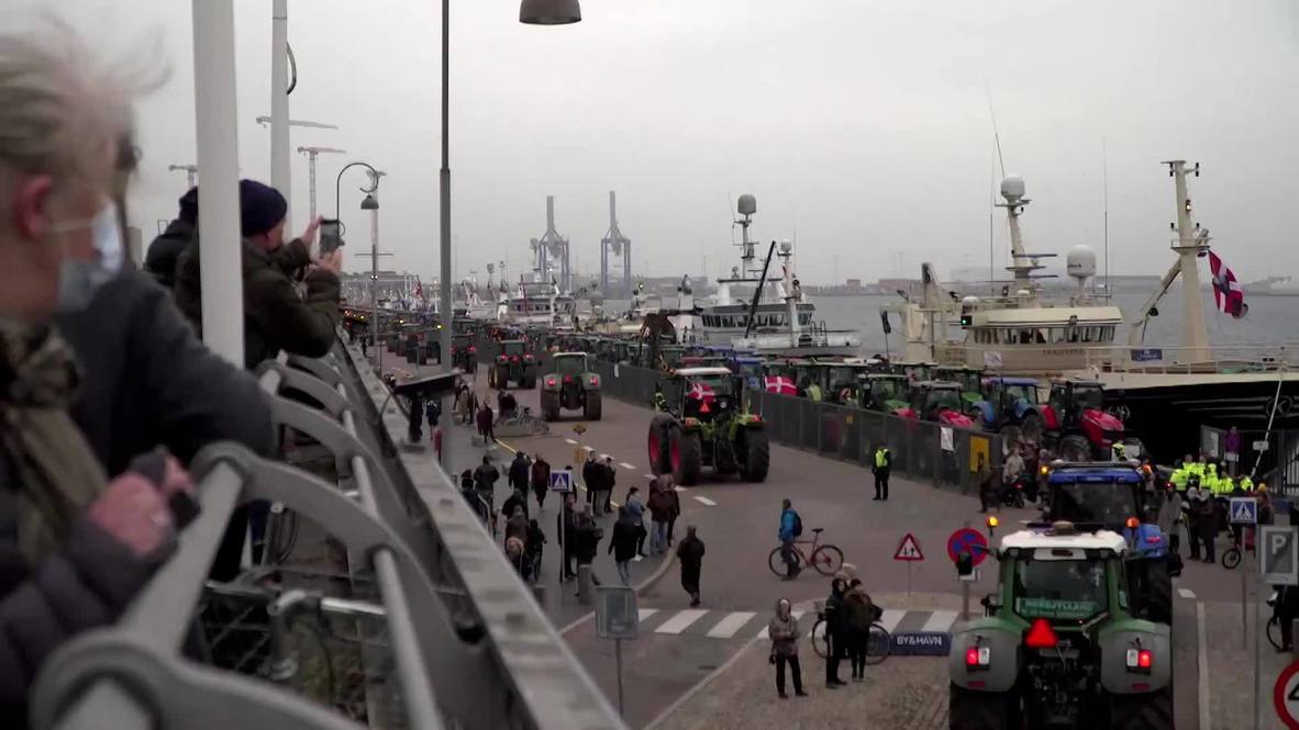 Denmark: Farmers stage tractor protest against govt decision to cull minks